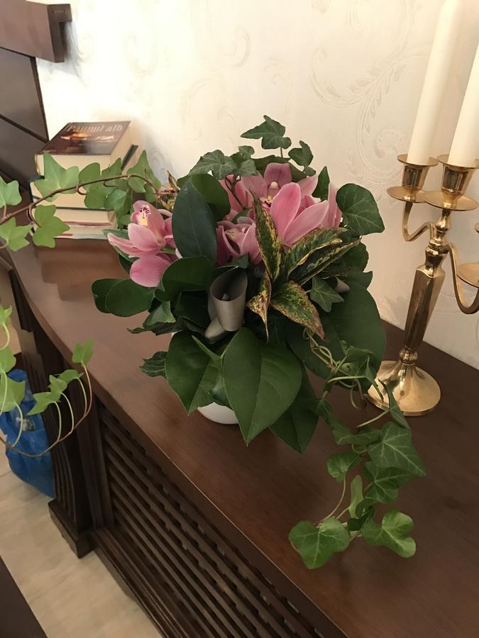 Hotel Boutique Belvedere Sinaia Luaran gambar